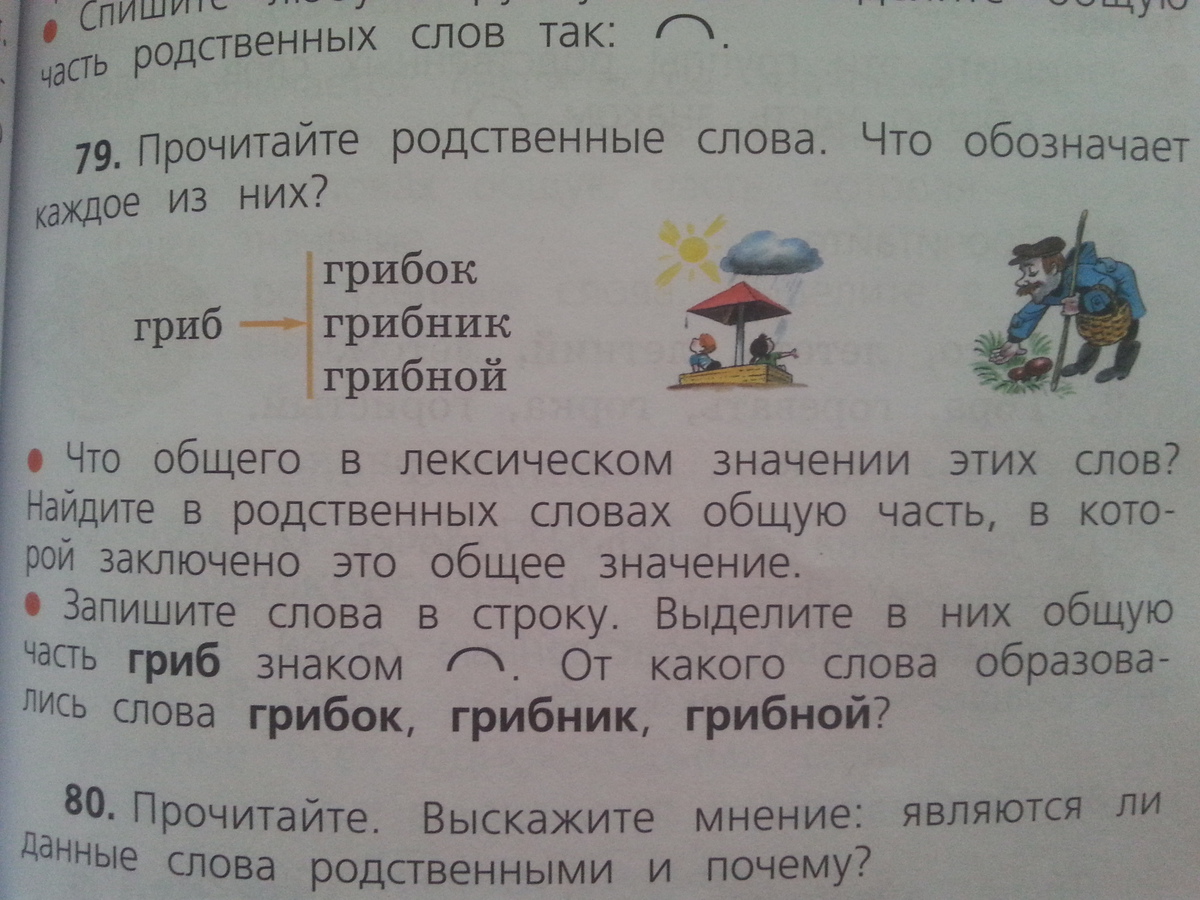 Прочитайте являются ли. Родственные слова грибной. Родственные слова грибник. Что означает родственные слова. Родственные слова к слову гриб.