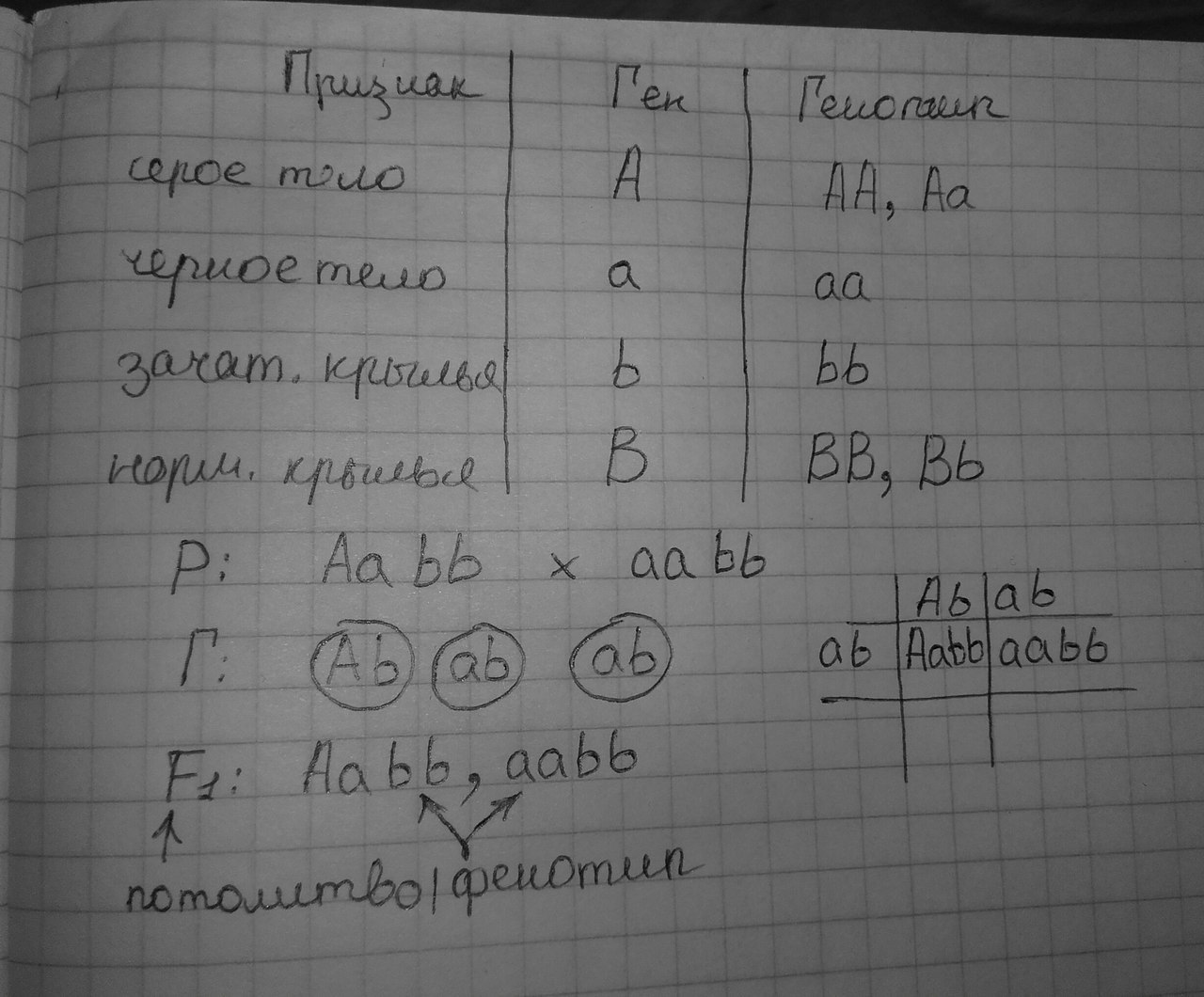 Гетерозиготный брак. Гетерозиготны по обоим признакам. Гетерозиготные по обоим признакам это. Темноволосая голубоглазая женщина дигомозиготная вступила.